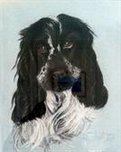 Lucinda Graham - Bailey